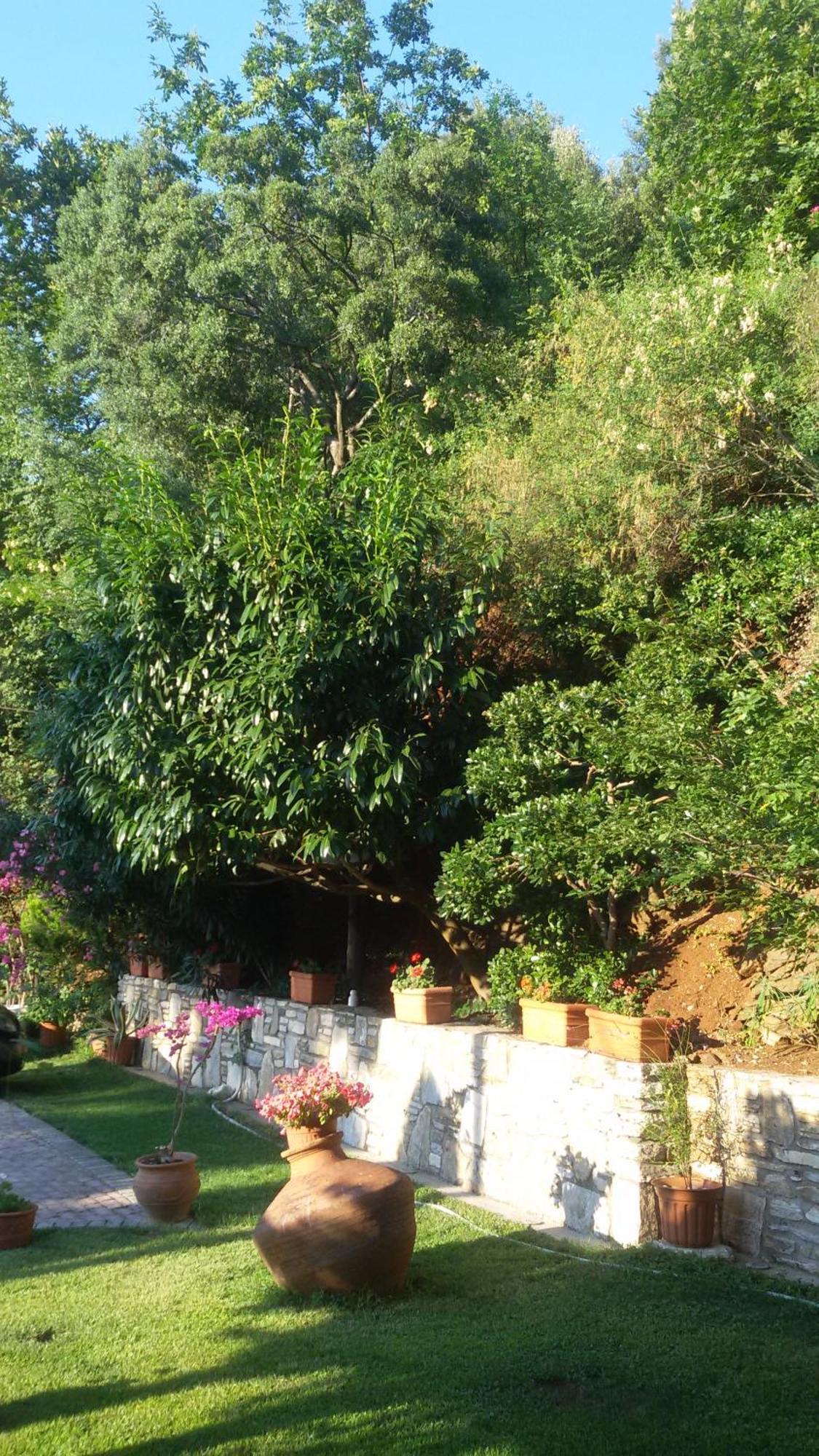 Villa Dimitra Skála Potamiás Eksteriør bilde