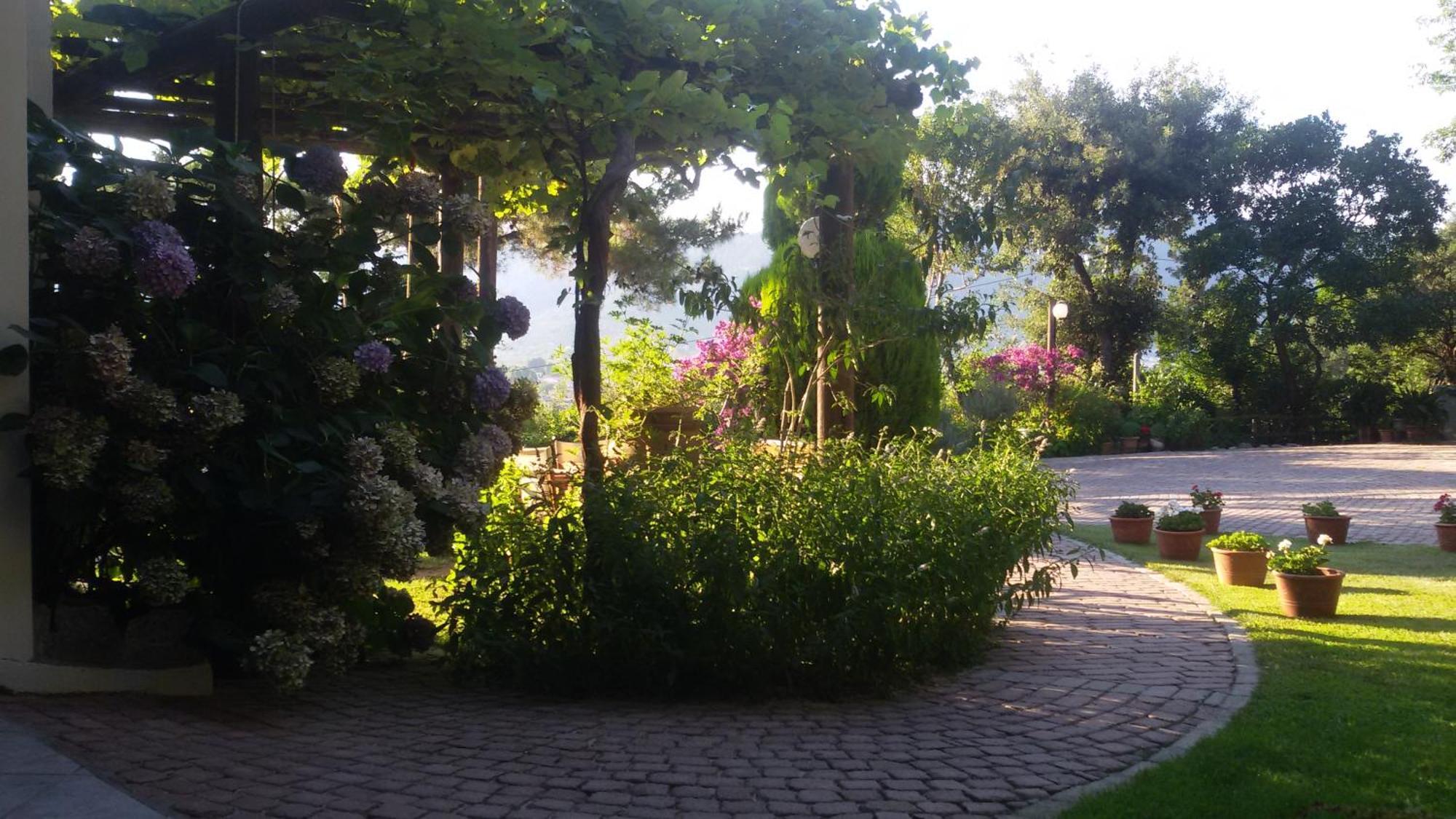 Villa Dimitra Skála Potamiás Eksteriør bilde